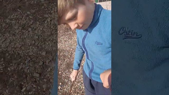 Обзор игры Real Life смотреть онлайн