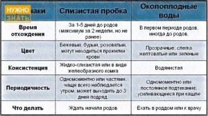 Предвестники родов и признаки приближения родов. Какие симптомы перед родами наблюдает беременная