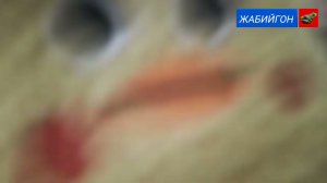 ЗАКРЫТИЕ КАНАЛА ЖАБИЙГОН! ОТКРЫТИЕ КАНАЛА ЧЕРЕСЕЛЬ!