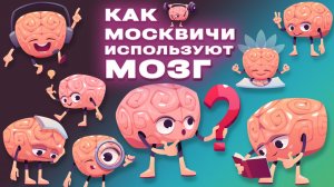 Москвичи рассказали, как они используют мозг и что происходит с ним после свадьбы