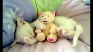 Дидюля  Цветные сны