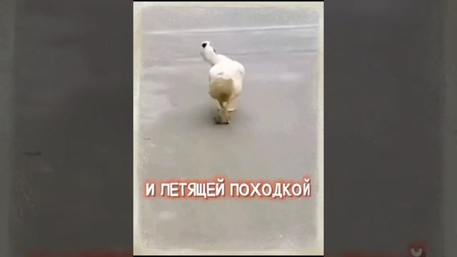 всем доброго утра!!!