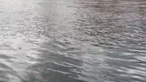 Рыбалка на Соби. Трофейный хариус. Первые заморозки на Ямале