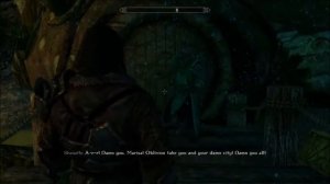 Skyrim Mods: Project AHO