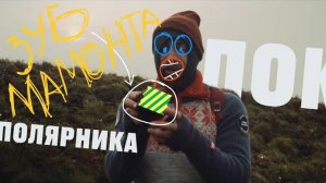 15. Какашки медведя, зуб мамонта и беренгийское общество – Сокровища Берингии