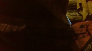 Шикарная Дача с Баней в Глухой Тайге.