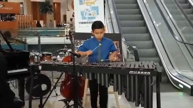 L. W Beethoven Minuet in G
transcription for marimba, xylophone смотреть онлайн