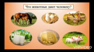 Окружающий мир, 4 класс. Тема "Животноводство"