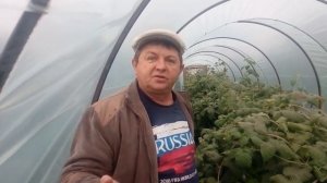 Малина Зюгана в балагане