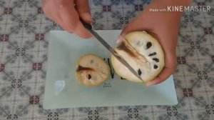 Сахарное яблоко. Custard apple. Экзотический фрукт