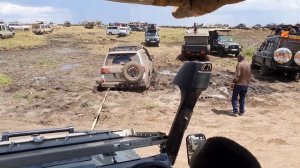 The great wildebeest migration - Maasai mara Kenya 2020