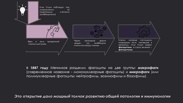 Илья Ильич Мечников