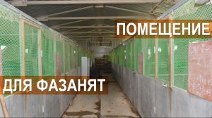 Фазанья ферма "Русское подворье". Помещение для содержания молодняка