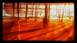 Танцы Минус   Ладога