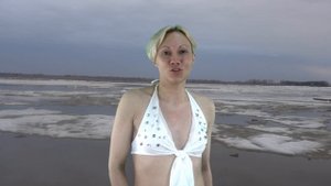 Моржи