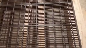 размеры улья и разделительной решетки