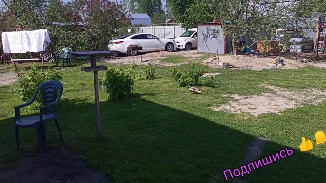 Утки вернулись опять). Утка. Селезень. Гусь. Лебедь. Домашние утки. Пруд. Жизнь в своем доме. Дерев смотреть онлайн