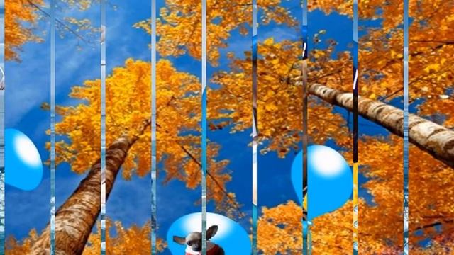 Собака по имени Злата смотреть онлайн