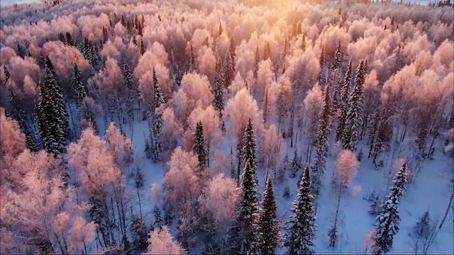 Волшебная зимняя сказка с чарующей природой и самой красивой музыкой в мире. смотреть онлайн