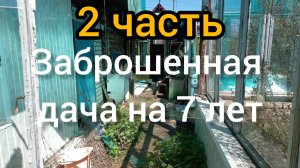 Посадили картошку на заброшенной даче. заброшенный дачный участок