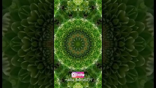 Медитация для начинающих. Простая ежедневная практика.