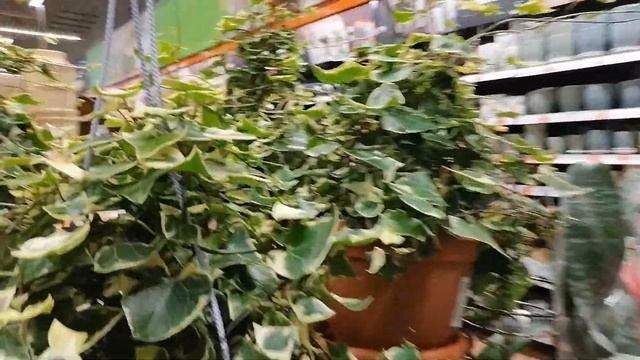 Прогулка по новому торговому центру 