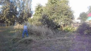 В Почепе Брянской области. 2017 год