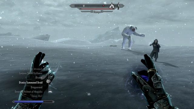 The Elder Scrolls V: Skyrim - Wampa Island