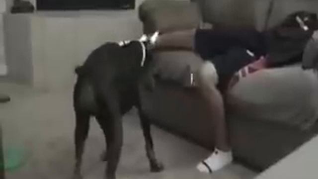 Точно в яйца смотреть онлайн