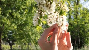 Омар Хайям. Лучшие рубаи о смысле жизни и как оставаться счастливым в нашем сложном мире.