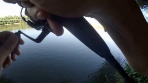 Голавль на цикаду