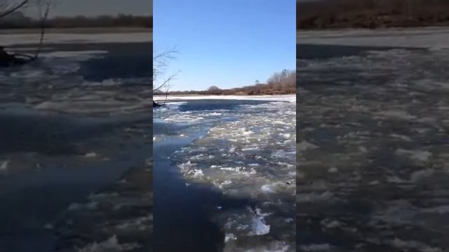 Река кур возвращение с рыбалки 3 смотреть онлайн