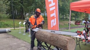 STIHL ms 881 в работе