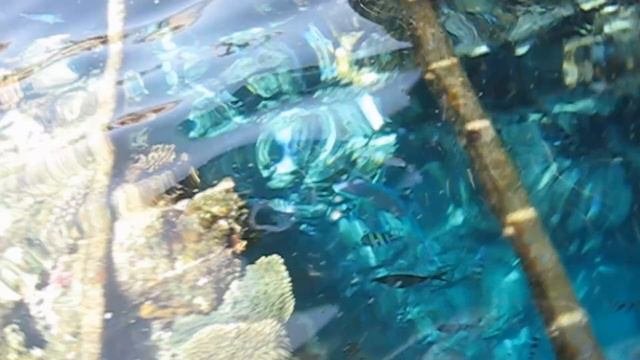 Канал психологической разгрузки. Красное море.