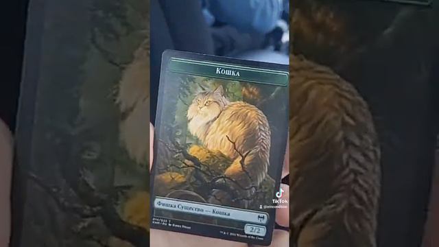 А у нас свои МТГ котики Ankha mtg