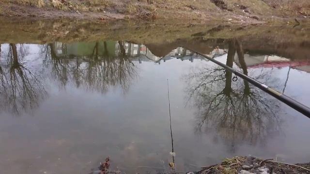 Весенняя рыбалка 2021. Fishing