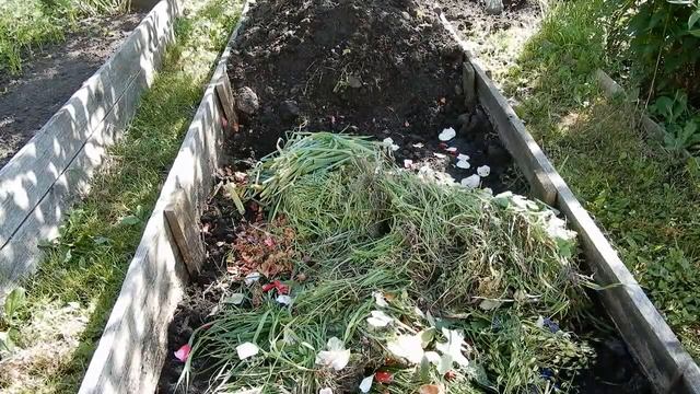 На даче.Выкопала лук.Компост в грядке.Куда деваем все сорняки. смотреть онлайн