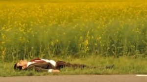 Сержан братан! смешные моменты | 🤣🤣🤣