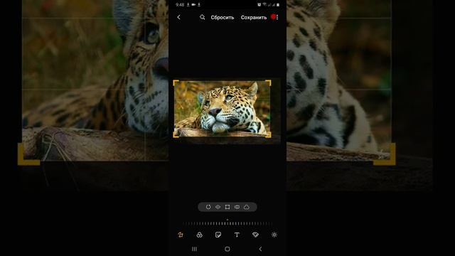 Как скачать картинку на телефон?♻️[Olga Pak] смотреть онлайн