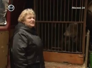 Медведь в "Газели". 6 лет в тюрьме