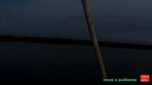 Трудовая рыбалка осенью / сазан пришел к ночи / карась за килограмм.