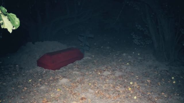 САМАЯ СТРАШНАЯ НАХОДКА ЗА ВСЮ ИСТОРИЮ КАНАЛА Заснял на камеру ужасное существо  HORRIBLE FIND смотреть онлайн