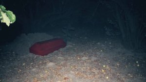 САМАЯ СТРАШНАЯ НАХОДКА ЗА ВСЮ ИСТОРИЮ КАНАЛА Заснял на камеру ужасное существо  HORRIBLE FIND