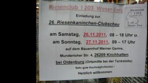 Выставка ризенов в Германии/Специальная клубная выставка кроликов в Вайдене
