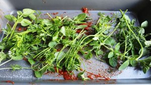 Свинина в красном вине