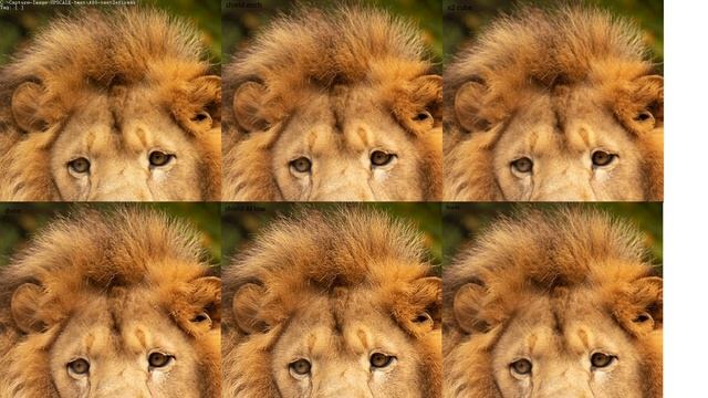 Part1. Сравнение и технический анализ медиаплееров. Shield, Apple, Dune, Amazon и других в SDR. смотреть онлайн