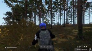 работа по тикету ( ЧИТЕР ) DayZ