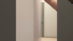 Встроенный шкаф ? фасады ALVIC ZENIT