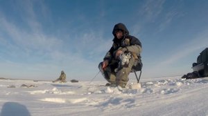 Ловля  окуня со льда  на балансир