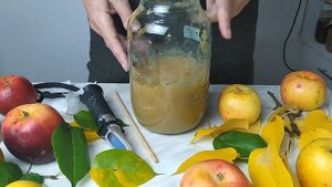 Делаем домашний яблочный уксус из яблочного пюре
